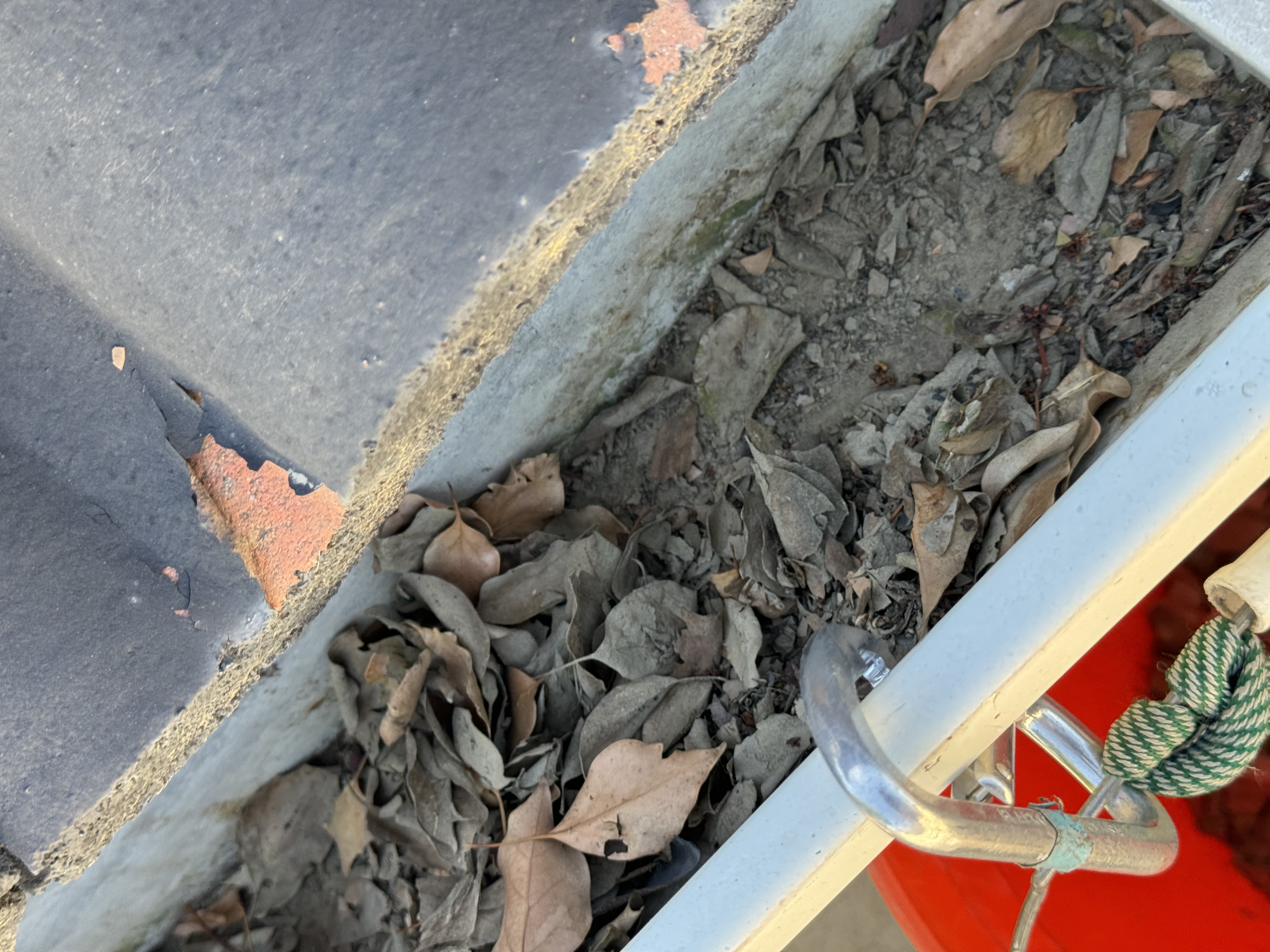 Gutter before cleaning