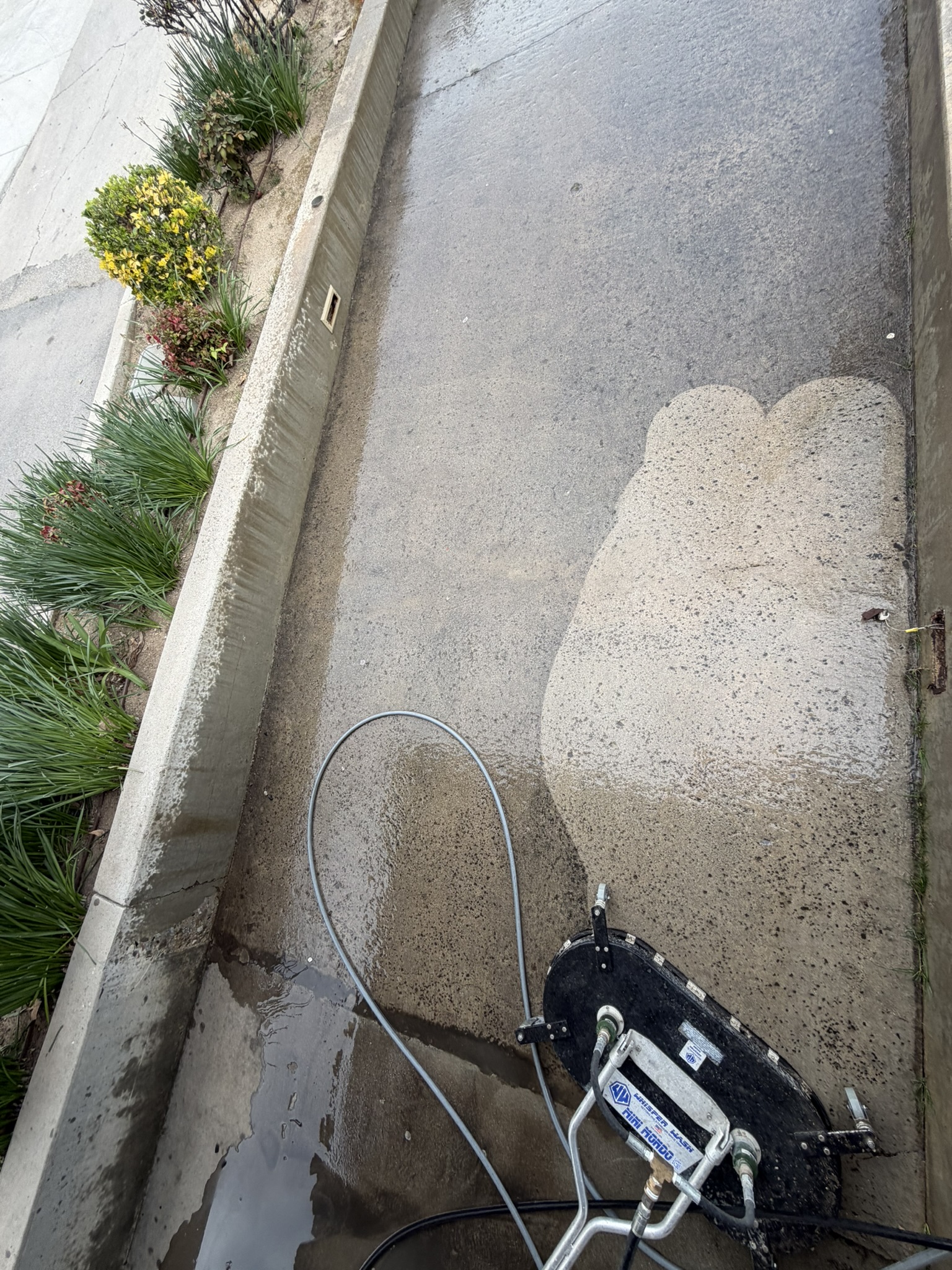 Concrete cleaning